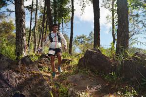 BIB: 
                            <button type="button" onclick="openModal(18916626)" class="btn btn-primary btn-sm float-right btn-popup" data-toggle="modal" data-target=".modal-high-quality">
                        <i class="fas fa-shopping-cart"></i> Add to Cart
                    </button>
                                            <button type="button" onclick="isThisMe(18916626, true)" class="btn btn-success btn-sm float-right btn-popup btn-isme hidden" data-toggle="tooltip" data-placement="bottom" title="นี่คือรูปของคุณใช่ไหม คลิกที่นี่เพื่อเอาเข้าอัลบั้ม">
                        <i class="fas fa-plus"></i> Add to album
                    </button>
                    <button type="button" onclick="isThisMe(18916626, false)" class="btn btn-warning btn-sm float-right btn-popup btn-isnotme hidden">
                        <i class="fas fa-ban"></i> Remove from album
                    </button>